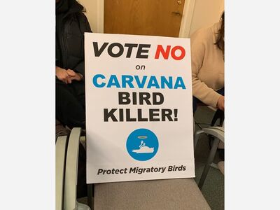 Skokie Residents Protest Porposed Carvana Building