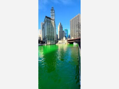 Carjacking Suspects Drown After Jumping into Calumet River To Elude Police