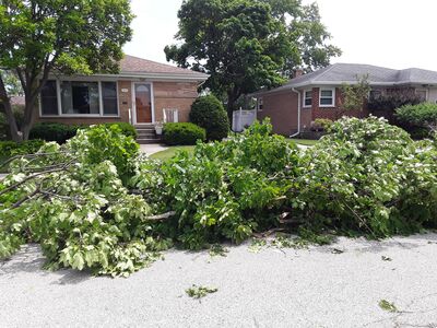 July 4th Storms Cause Damage To Local Trees & Causes Power Outages