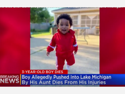 3-year-old dies after aunt allegedly pushed him off Navy Pier into Lake Michigan