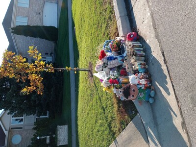 Memorial For Angel Mata Maine East Student Killed on Ballard Road
