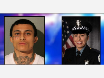 The Killer of Chicago Police Officer Ella French Sentenced to Life